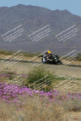 media/Feb-04-2023-SoCal Trackdays (Sat) [[8a776bf2c3]]/Turn 15 Inside Blooming (1050am)/